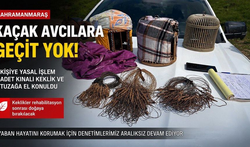 Kahramanmaraş’ta Kaçak Avcılığa Geçit Yok: 3 Kişiye Yasal İşlem