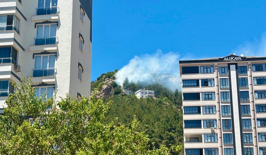 Kahramanmaraş’ta Ormanlık Alanda Çıkan Yangın Söndürüldü